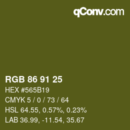 カラーコード: RGB 86 91 25 | qconv.com
