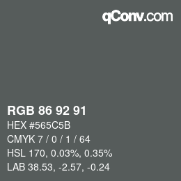 颜色代码: RGB 86 92 91 | qconv.com