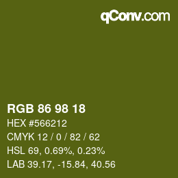 カラーコード: RGB 86 98 18 | qconv.com