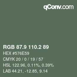 カラーコード: RGB 87.9 110.2 89 | qconv.com