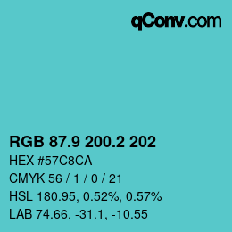 カラーコード: RGB 87.9 200.2 202 | qconv.com