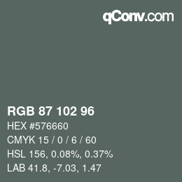 颜色代码: RGB 87 102 96 | qconv.com