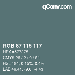 Farbcode: RGB 87 115 117 | qconv.com