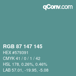 Color code: RGB 87 147 145 | qconv.com