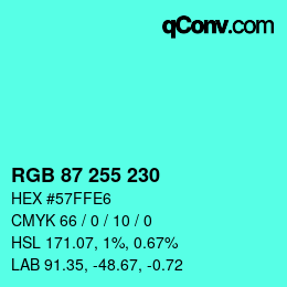 Color code: RGB 87 255 230 | qconv.com
