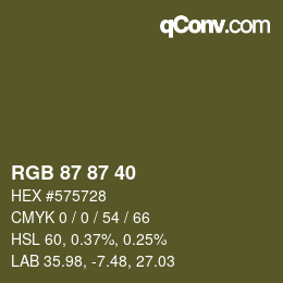 颜色代码: RGB 87 87 40 | qconv.com