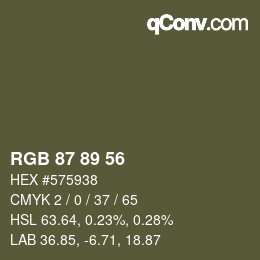 颜色代码: RGB 87 89 56 | qconv.com