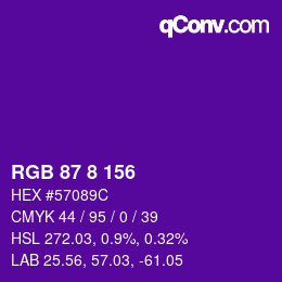 Color code: RGB 87 8 156 | qconv.com