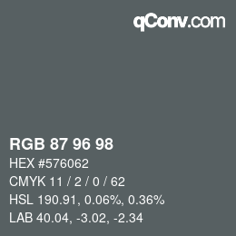 カラーコード: RGB 87 96 98 | qconv.com