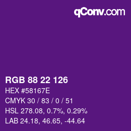 Farbcode: RGB 88 22 126 | qconv.com