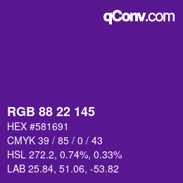 Color code: RGB 88 22 145 | qconv.com