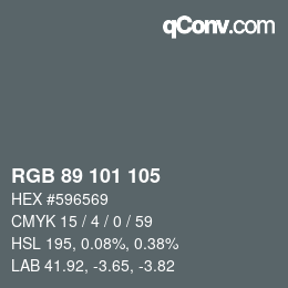 颜色代码: RGB 89 101 105 | qconv.com