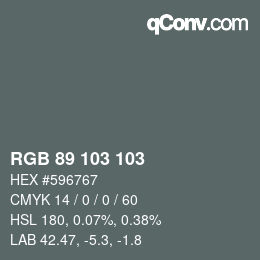 カラーコード: RGB 89 103 103 | qconv.com