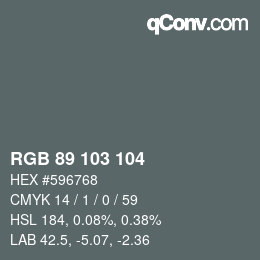 Color code: RGB 89 103 104 | qconv.com