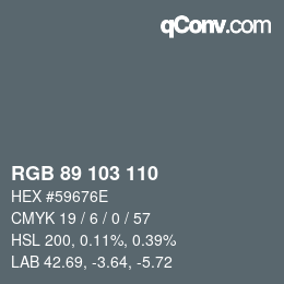 Color code: RGB 89 103 110 | qconv.com