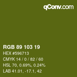 Color code: RGB 89 103 19 | qconv.com