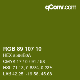Farbcode: RGB 89 107 10 | qconv.com