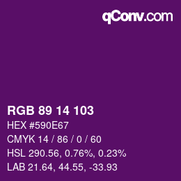 Color code: RGB 89 14 103 | qconv.com