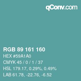 Color code: RGB 89 161 160 | qconv.com