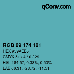 Color code: RGB 89 174 181 | qconv.com