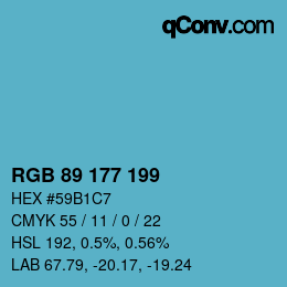 Color code: RGB 89 177 199 | qconv.com