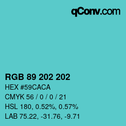 Farbcode: RGB 89 202 202 | qconv.com
