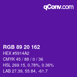 Color code: RGB 89 20 162 | qconv.com