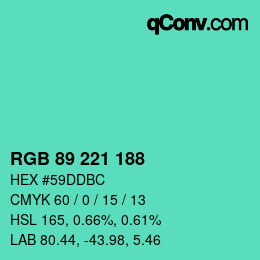 Color code: RGB 89 221 188 | qconv.com