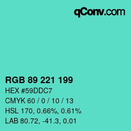 Color code: RGB 89 221 199 | qconv.com
