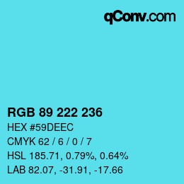 Color code: RGB 89 222 236 | qconv.com