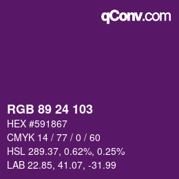 Color code: RGB 89 24 103 | qconv.com