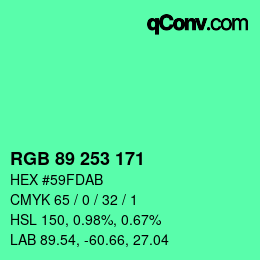 Color code: RGB 89 253 171 | qconv.com