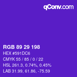 Color code: RGB 89 29 198 | qconv.com