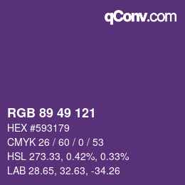 Code couleur: RGB 89 49 121 | qconv.com