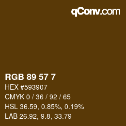 カラーコード: RGB 89 57 7 | qconv.com