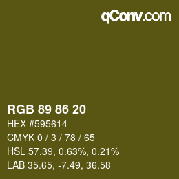 Color code: RGB 89 86 20 | qconv.com