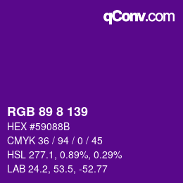 Color code: RGB 89 8 139 | qconv.com