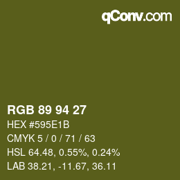 Farbcode: RGB 89 94 27 | qconv.com
