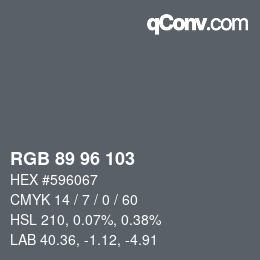 Color code: RGB 89 96 103 | qconv.com