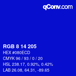 Color code: RGB 8 14 205 | qconv.com