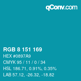 Color code: RGB 8 151 169 | qconv.com