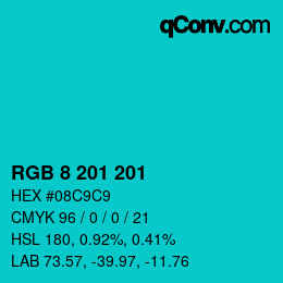 颜色代码: RGB 8 201 201 | qconv.com