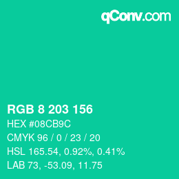 Color code: RGB 8 203 156 | qconv.com