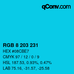 Color code: RGB 8 203 231 | qconv.com