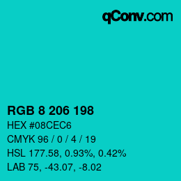 Color code: RGB 8 206 198 | qconv.com