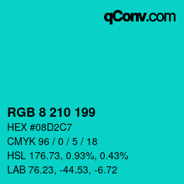 Color code: RGB 8 210 199 | qconv.com