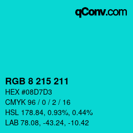 Color code: RGB 8 215 211 | qconv.com