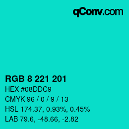 Color code: RGB 8 221 201 | qconv.com