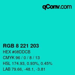 Color code: RGB 8 221 203 | qconv.com