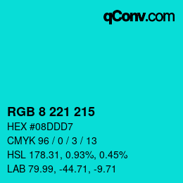 Color code: RGB 8 221 215 | qconv.com